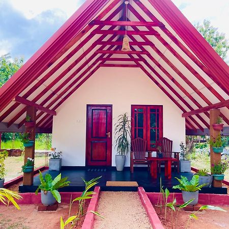 Sigiri Enaya Cottage Sigirîya Extérieur photo