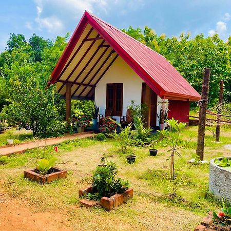 Sigiri Enaya Cottage Sigirîya Extérieur photo