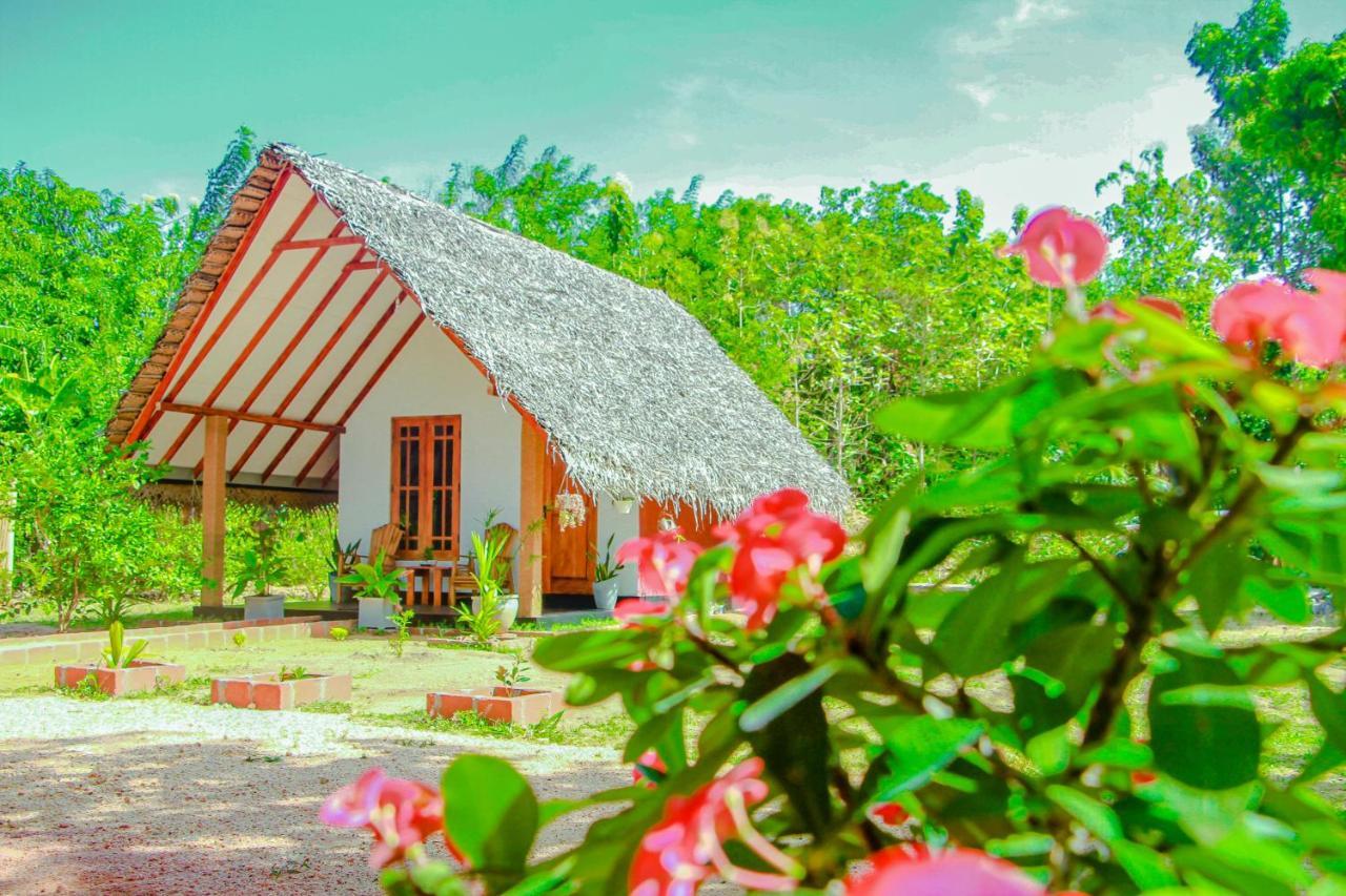 Sigiri Enaya Cottage Sigirîya Extérieur photo