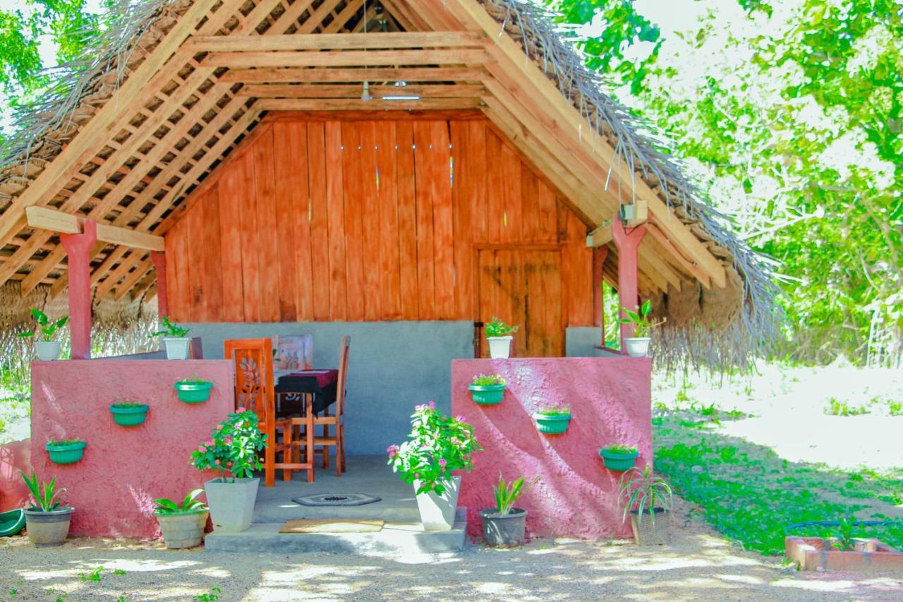 Sigiri Enaya Cottage Sigirîya Extérieur photo