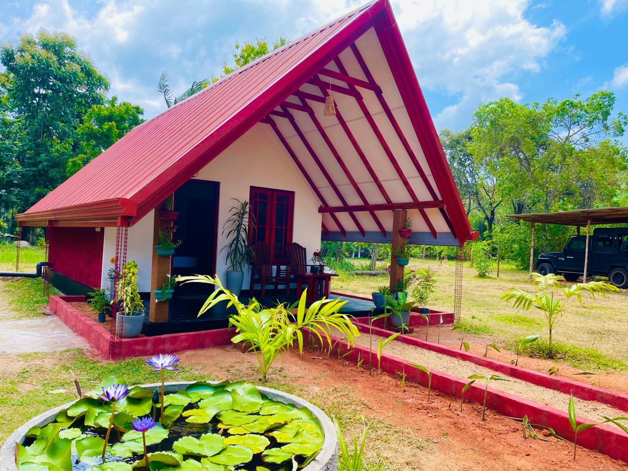 Sigiri Enaya Cottage Sigirîya Extérieur photo