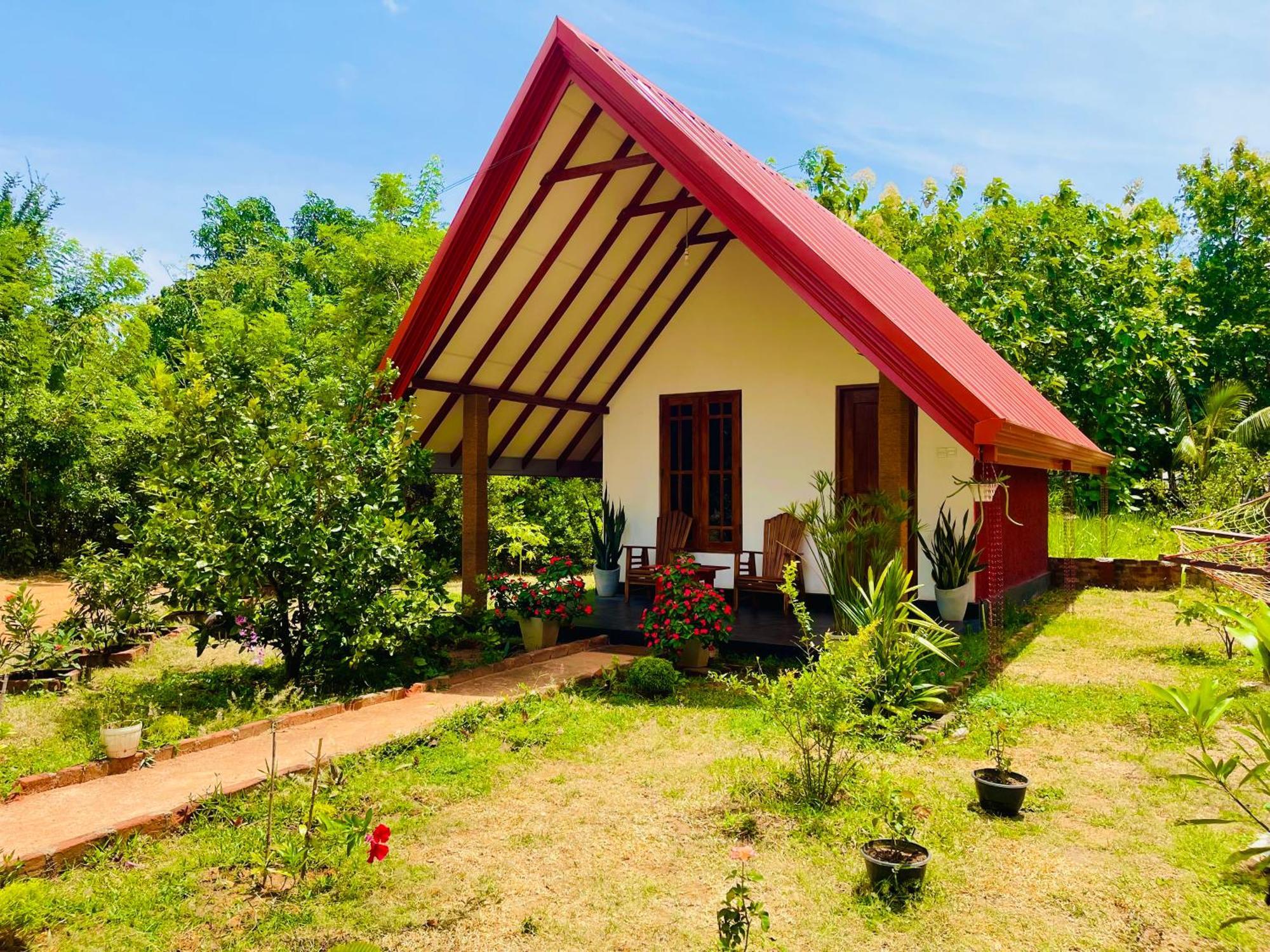 Sigiri Enaya Cottage Sigirîya Extérieur photo