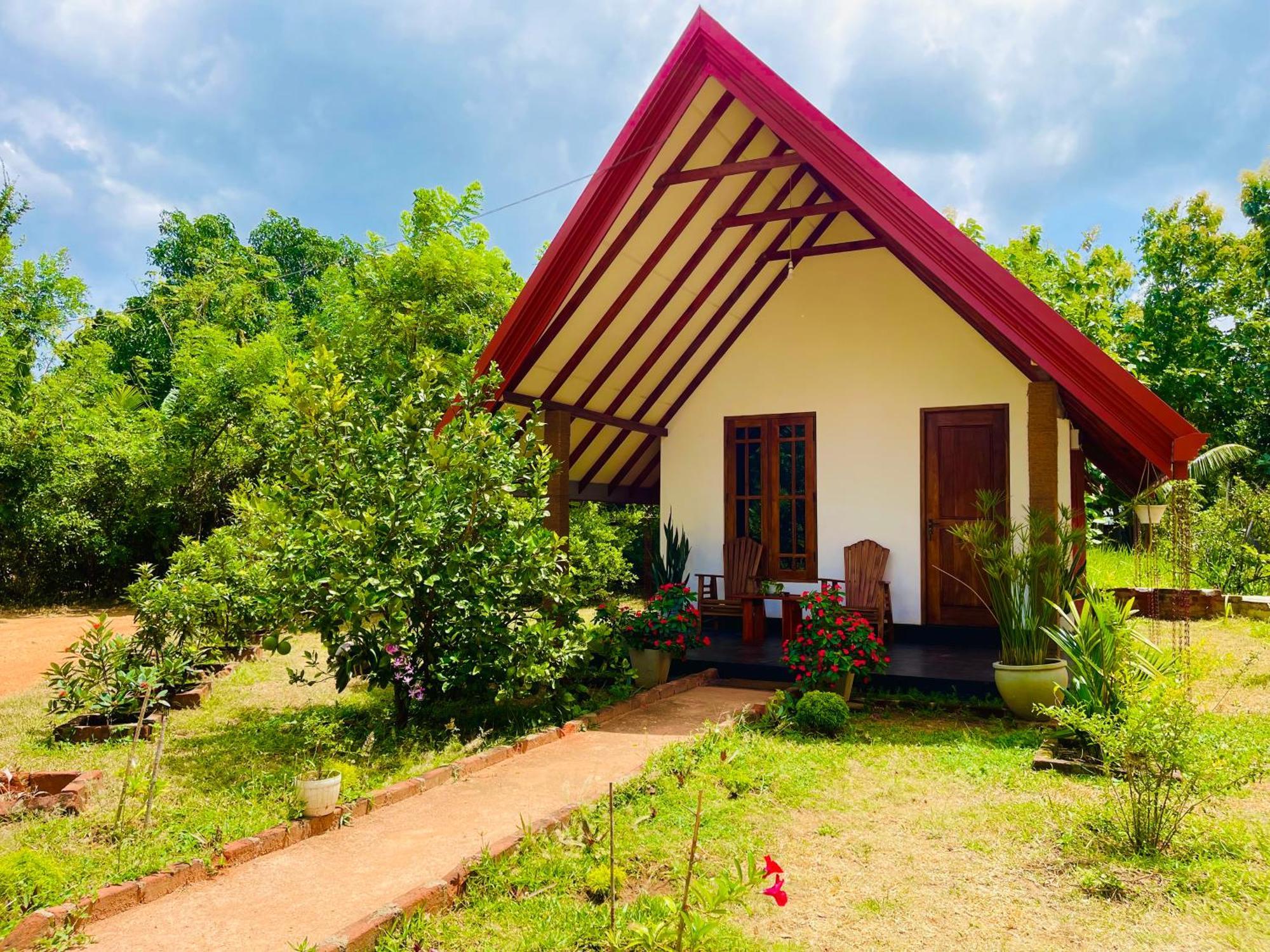 Sigiri Enaya Cottage Sigirîya Extérieur photo